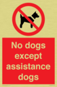 no-dogs-except-assistance-dogs~